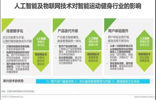 中國健身行業市場發展調研及投資前景展望報告（2022-2028年） 